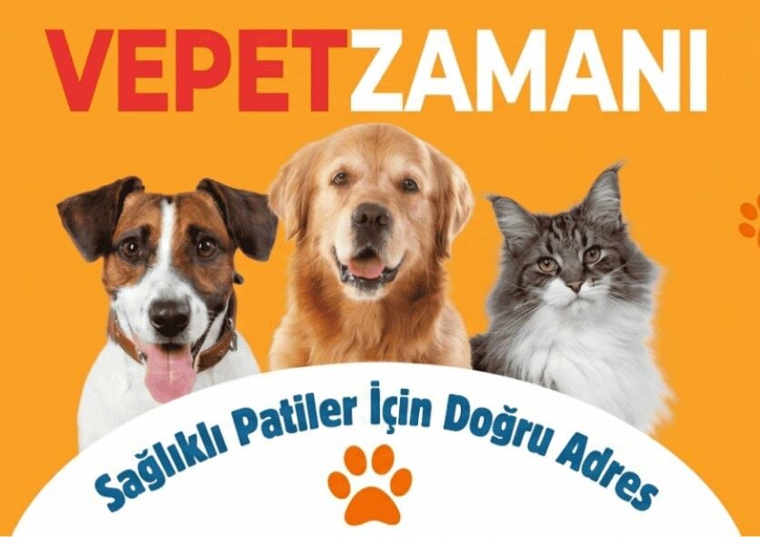 Seresto Tasma ile Parazitlere Karşı Düzenli Koruma Yaklaşımı