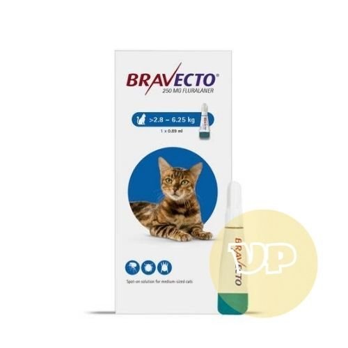 Bravecto Spot-On Kedi 250mg (2.8kg-6.25 Kg) 1 Pipet  SKT 2027