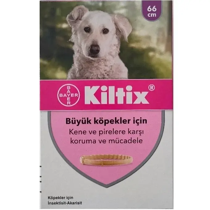 Kiltix Pire Kene Tasması 66 cm SKT:10.2026