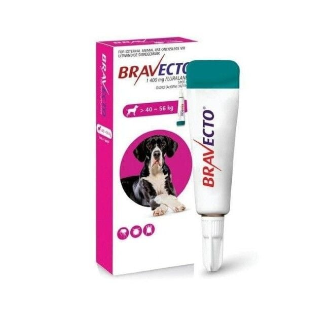 Bravecto Spot On Köpek DAMLA  40-56 Kg  1 Pipet ( SKT :07.2027 )