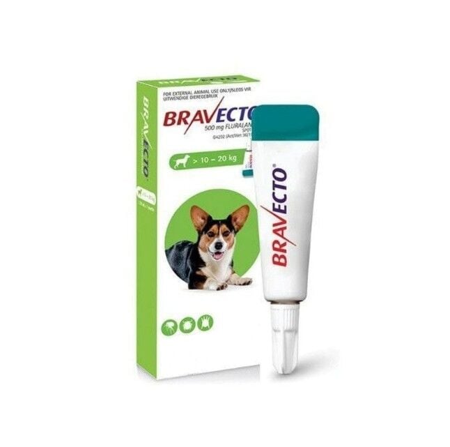 Bravecto Spot On Köpek DAMLA  10-20 Kg  1 Pipet ( SKT :2027 )