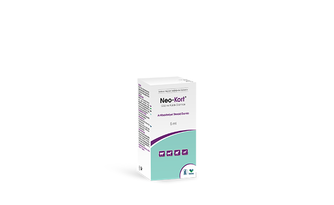 Neo-Kort Göz ve Kulak Damlası (SKT:01.2028)