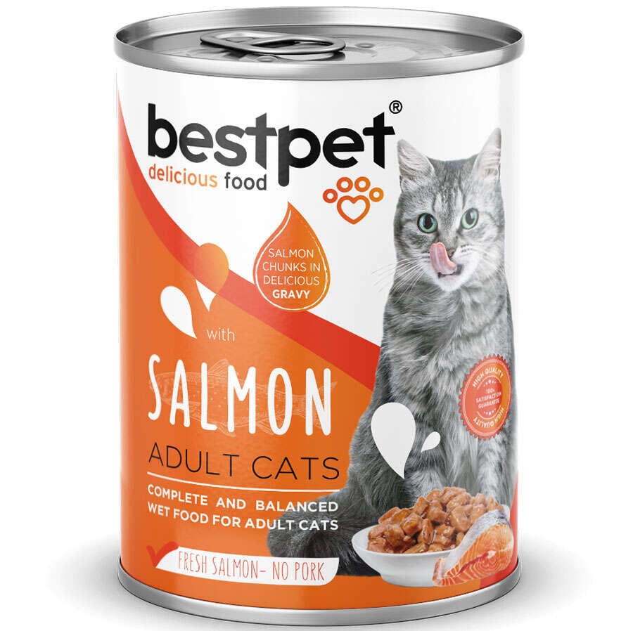 Bestpet Gravy Parça Somonlu Kedi Konservesi  400 Gr  X  24 Adet